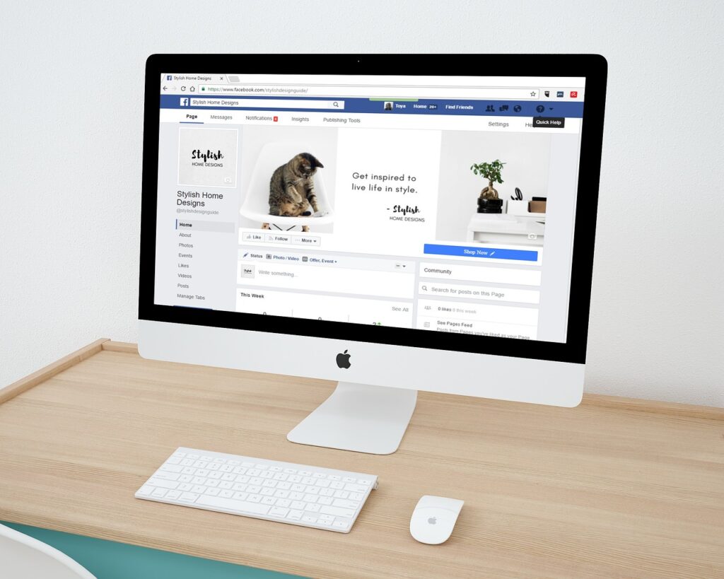 Facebook and Instagram Paid Advertising
